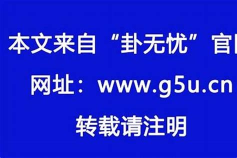 1982屬狗|1982年出生属什么生肖 1982年属狗是什么命